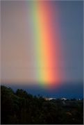 Sea Rainbow